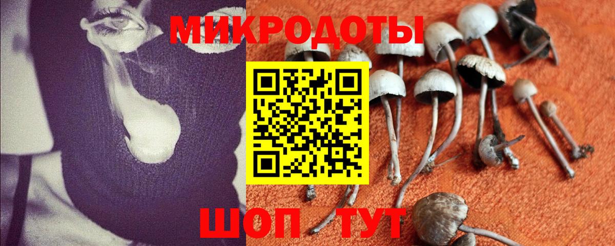 Галлюциногенные грибы GOLDEN TEACHER  Вход с VPN  Нижнекамск 